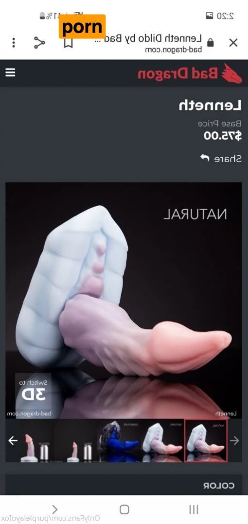 💜Purple Fox💜 5046151