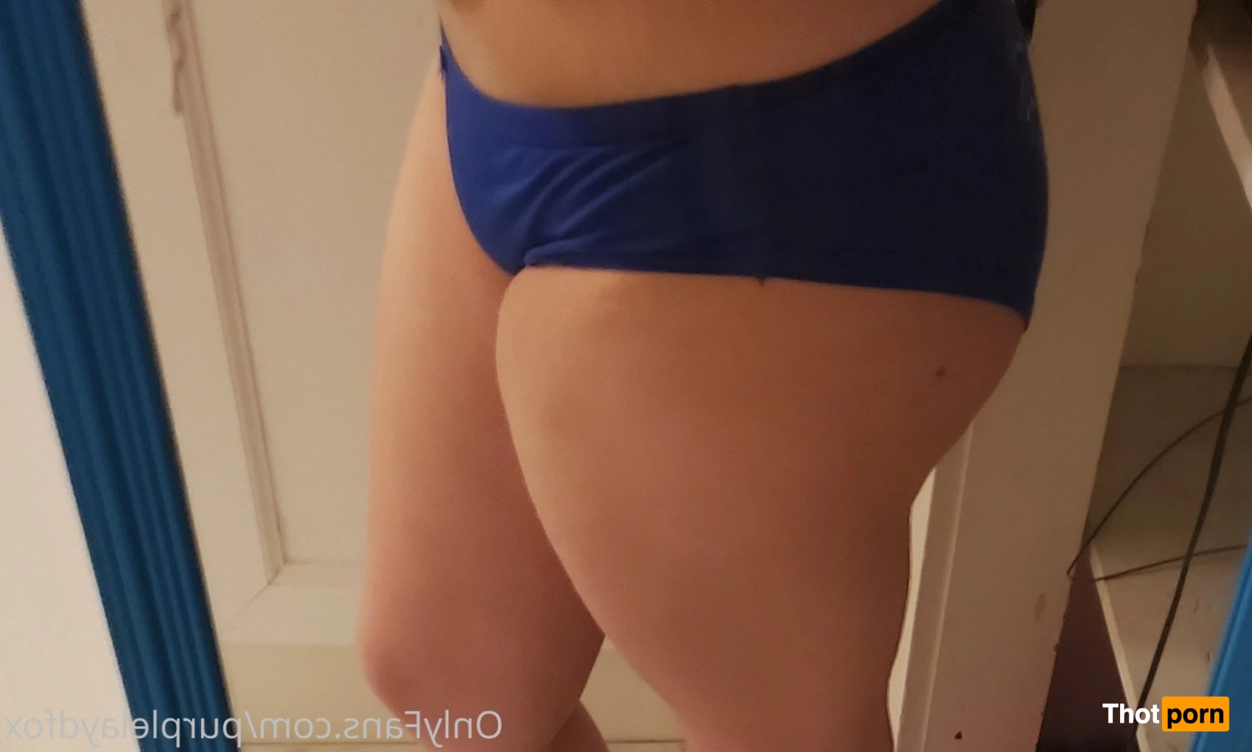 💜Purple Fox💜 5046239