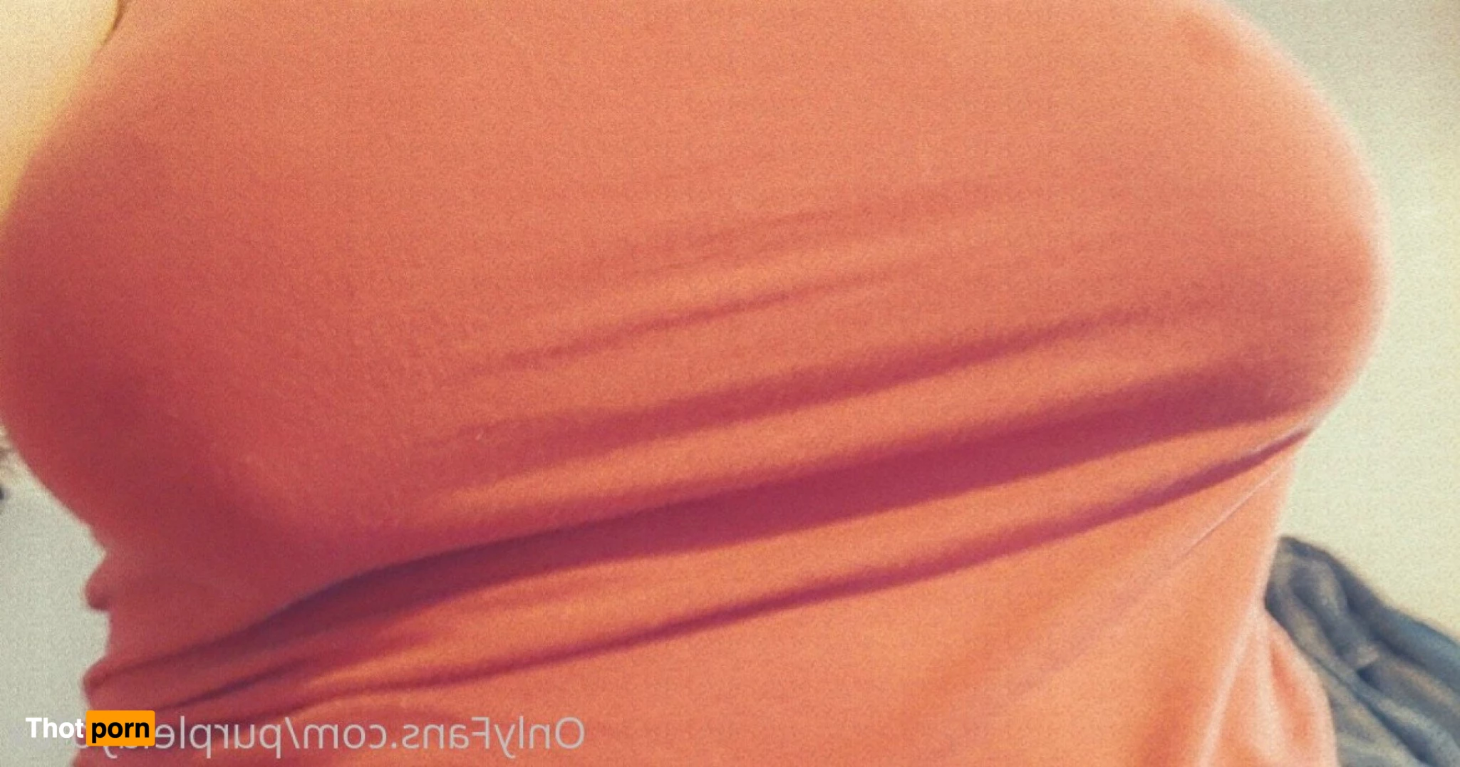 💜Purple Fox💜 5046379