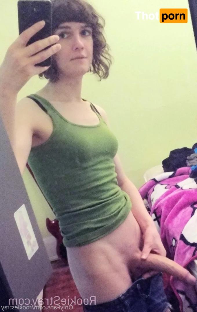 Rookie Stray 5288520