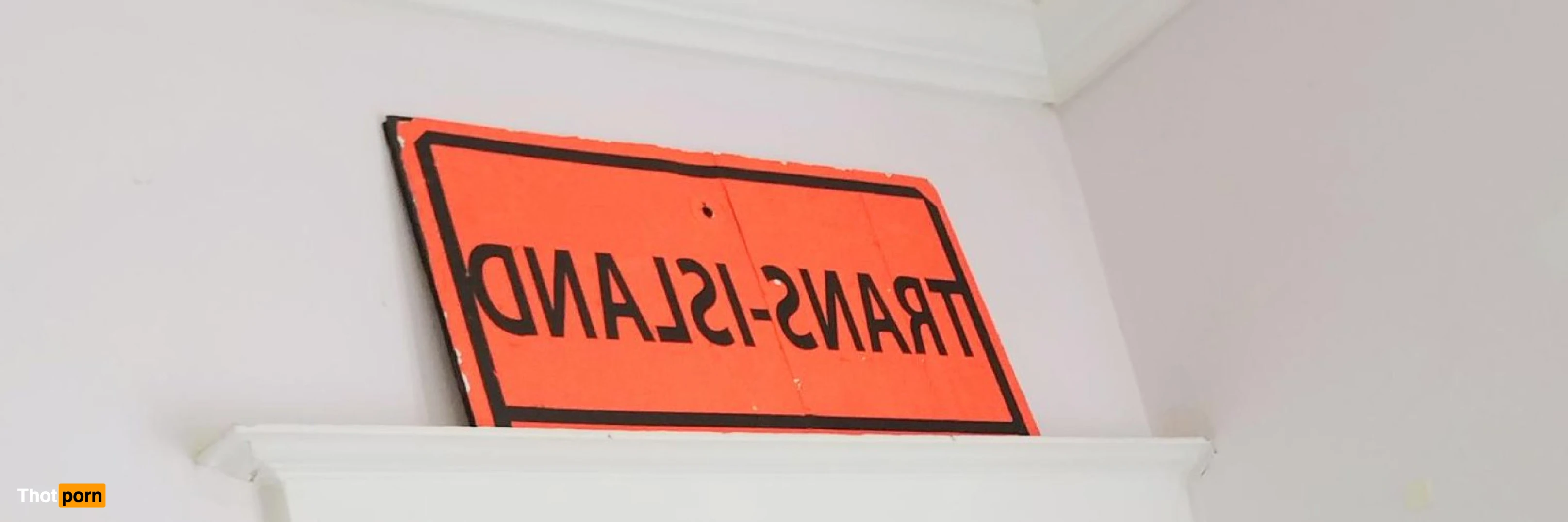 Rookie Stray 15749227