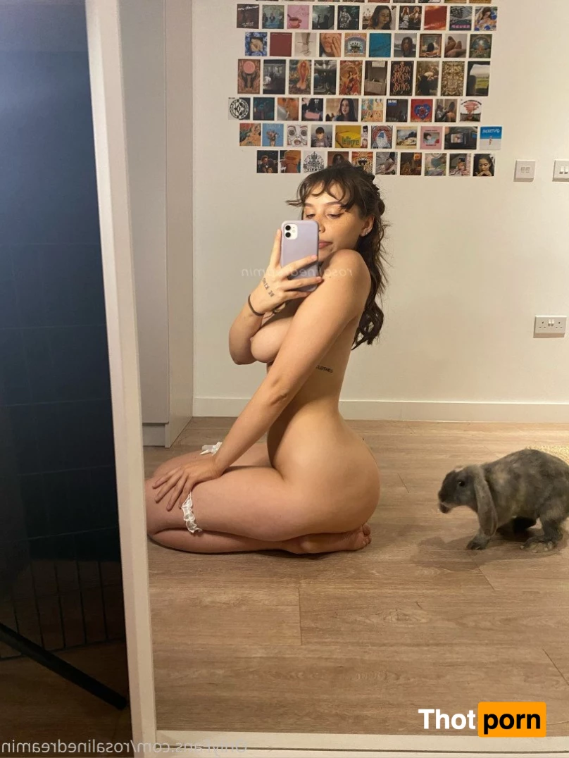 rosalinedreamin 5027341