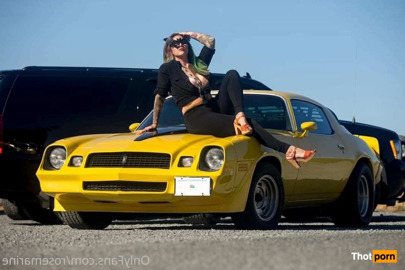 Rose Bombshell 5287055