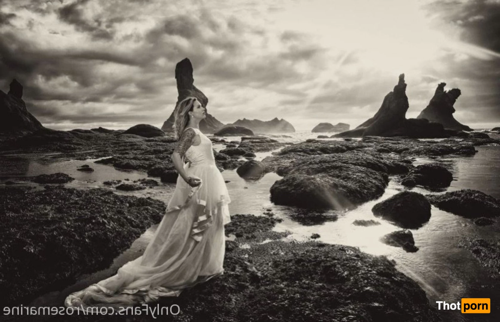 Rose Bombshell 5287323