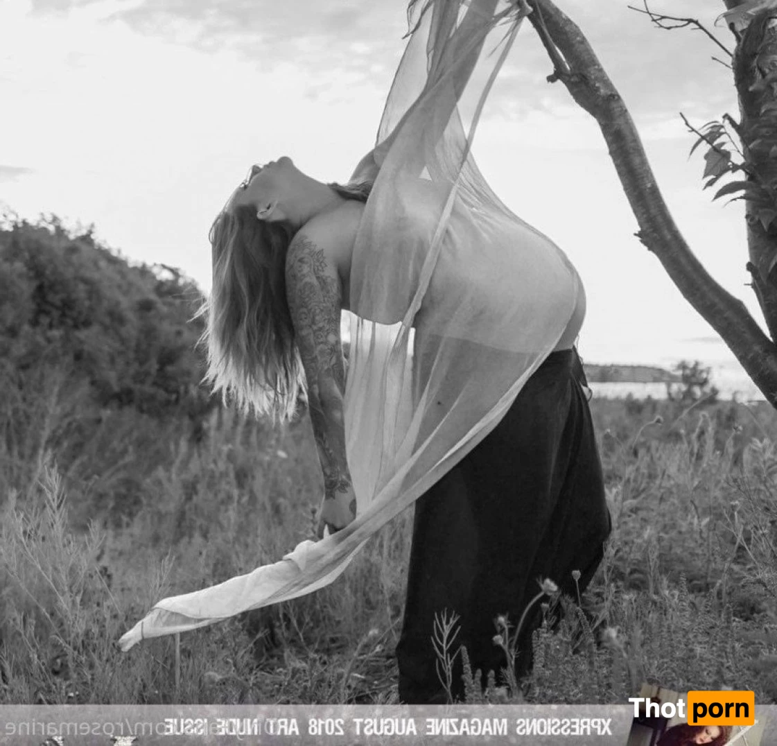 Rose Bombshell 5287338