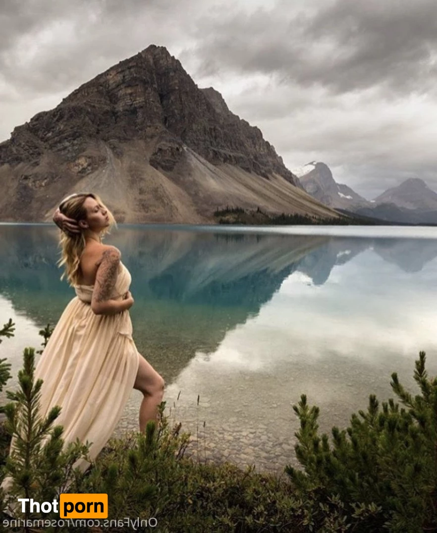 Rose Bombshell 5287751