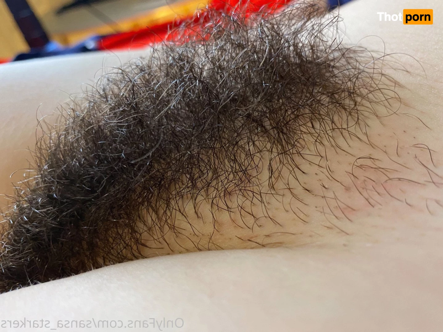 sansa_starkers 5020401