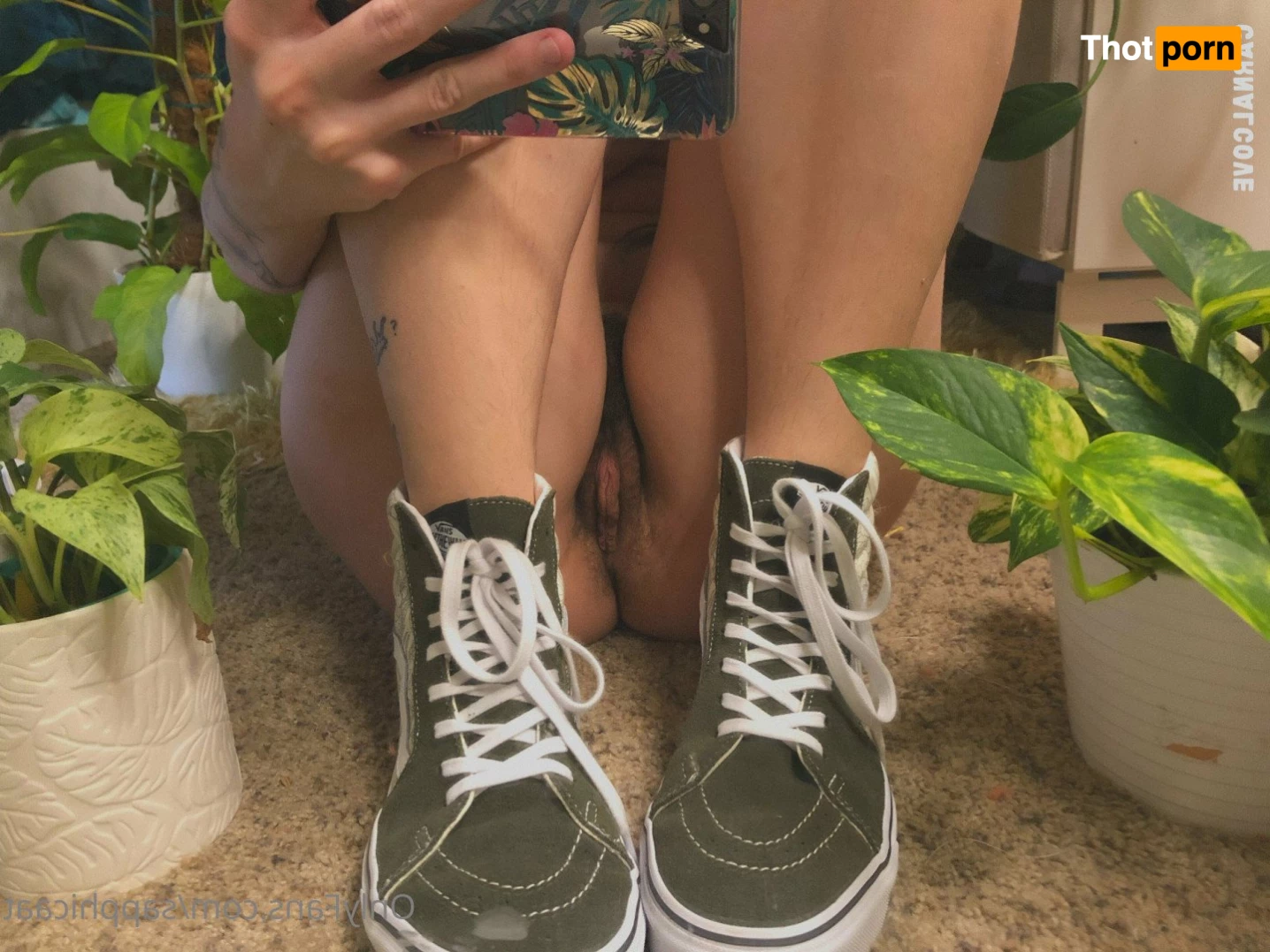 🌟 Lark 🌟 5017581