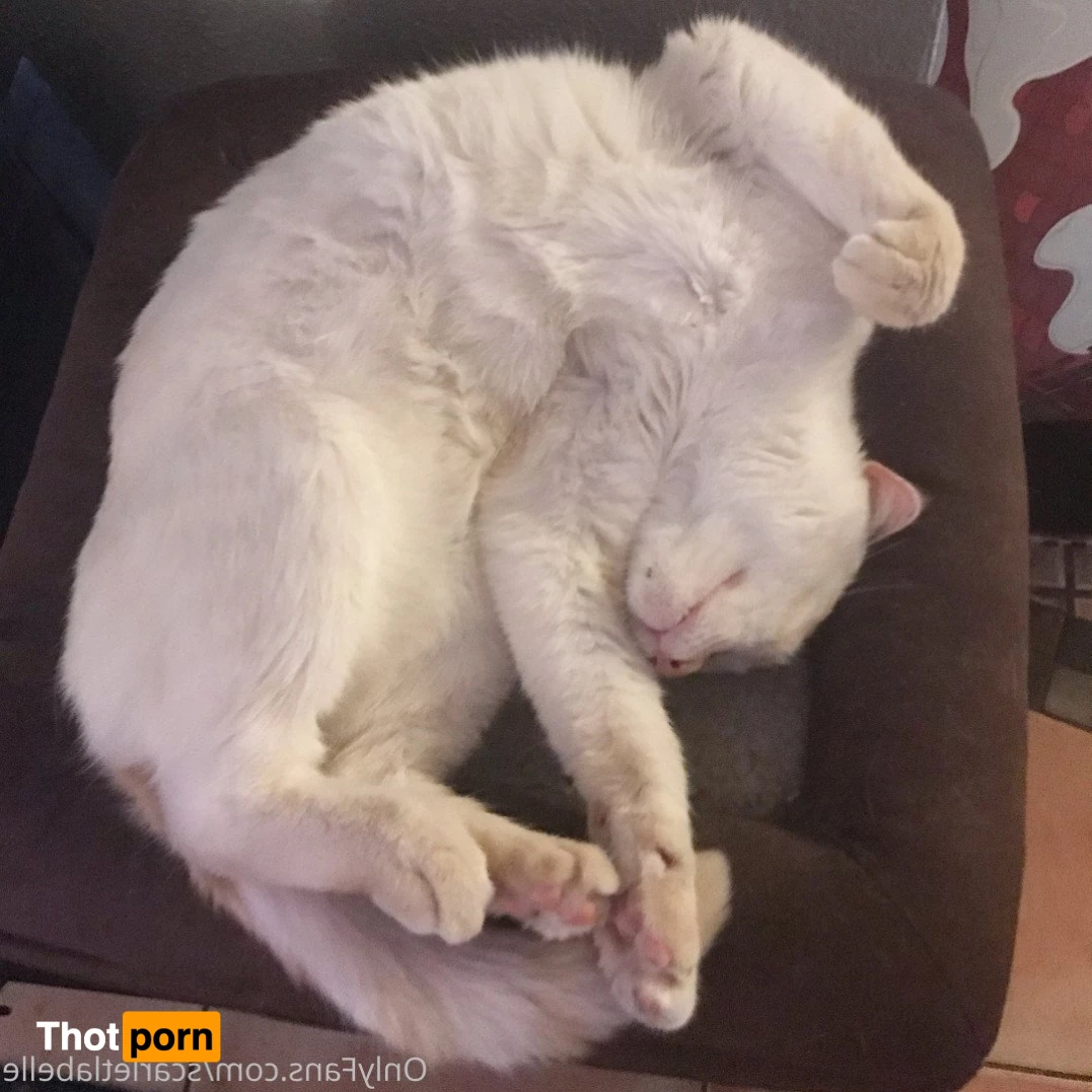 Scarlet LaBelle 5011263