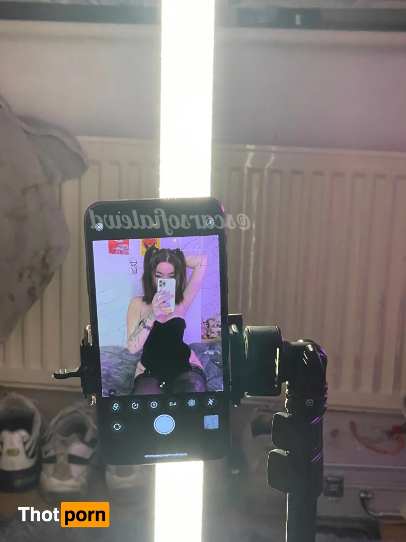 scarlet sofia 15628440