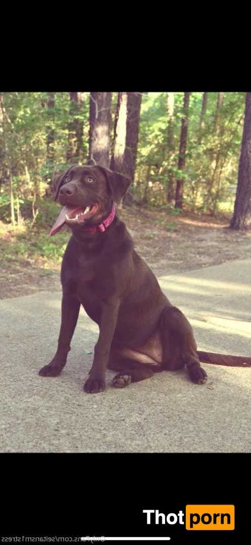 Brooke’s world 5038898