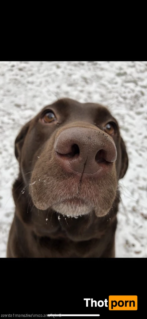 Brooke’s world 5039009