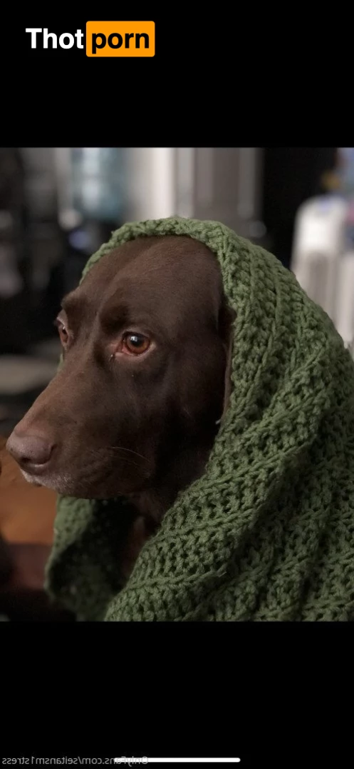 Brooke’s world 5039030