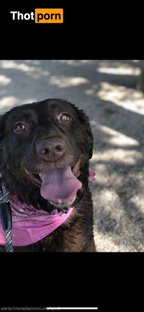 Brooke’s world 5039040