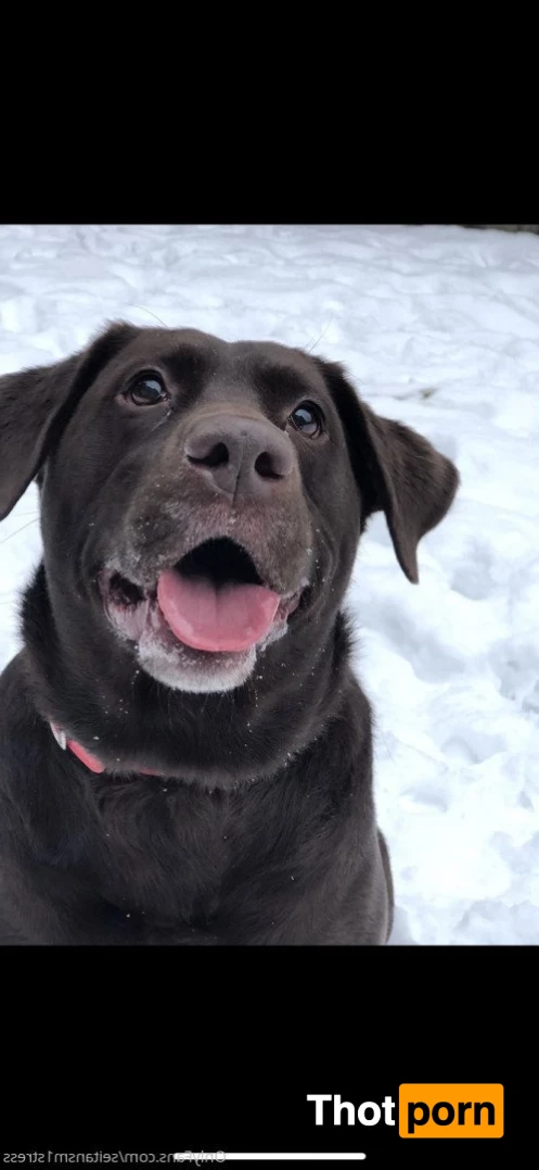 Brooke’s world 5039061