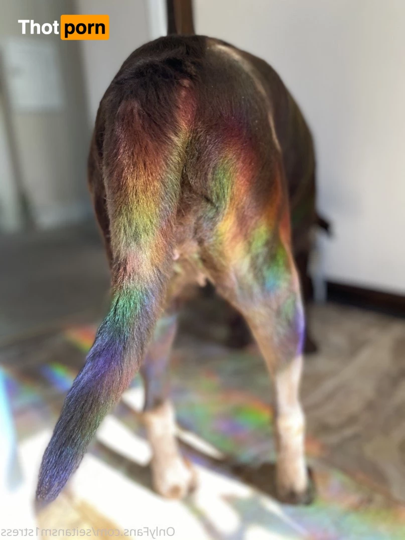 Brooke’s world 5039073