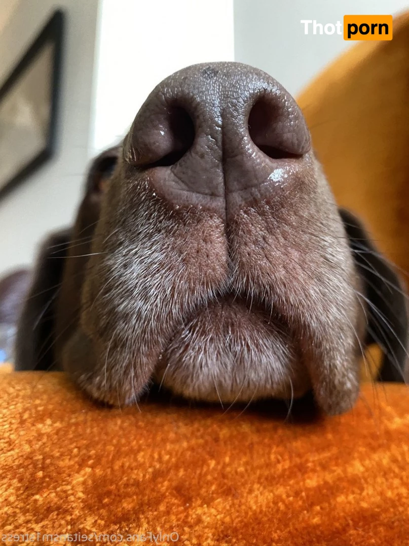 Brooke’s world 5039094