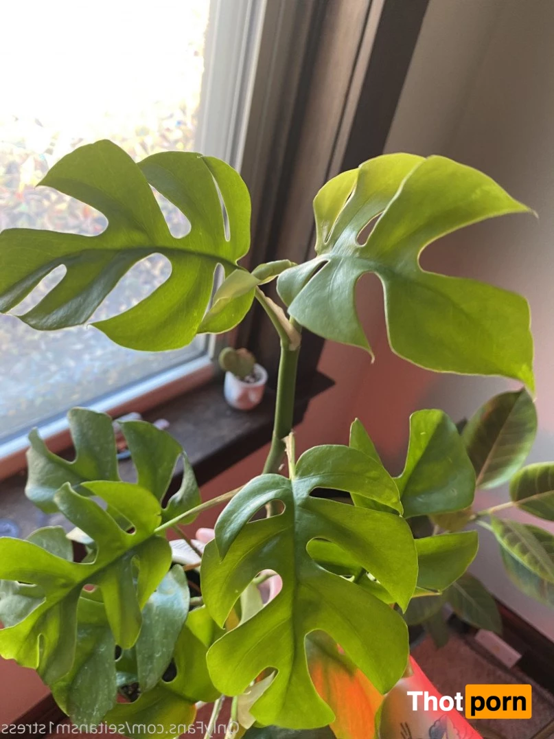 Brooke’s world 5039155