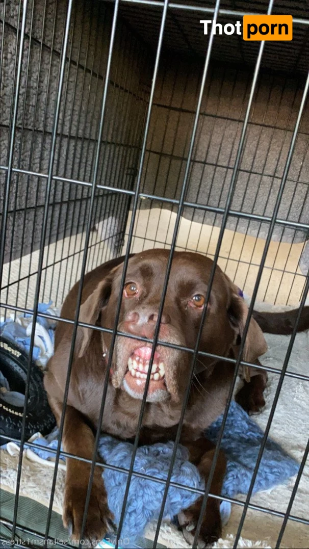 Brooke’s world 5039165