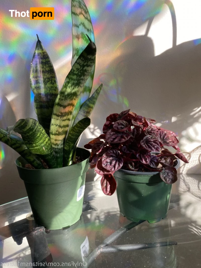 Brooke’s world 5039236