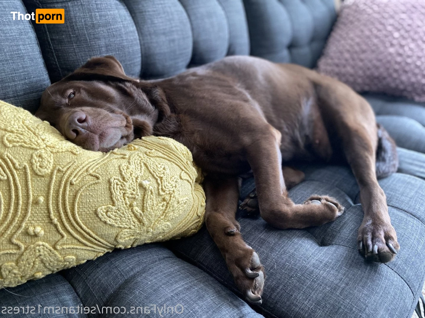 Brooke’s world 5039237