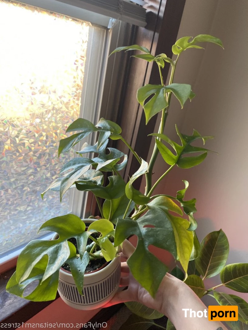 Brooke’s world 5039251