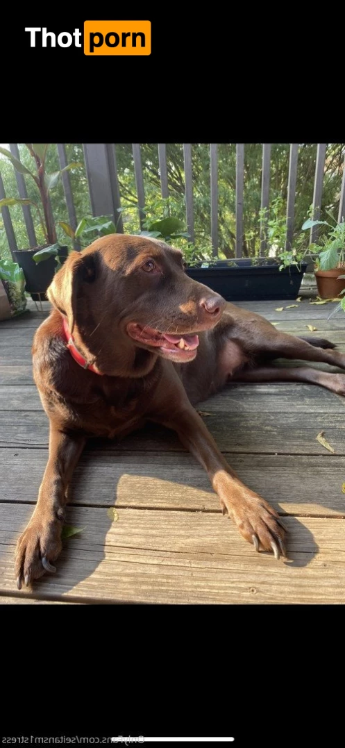 Brooke’s world 5039306