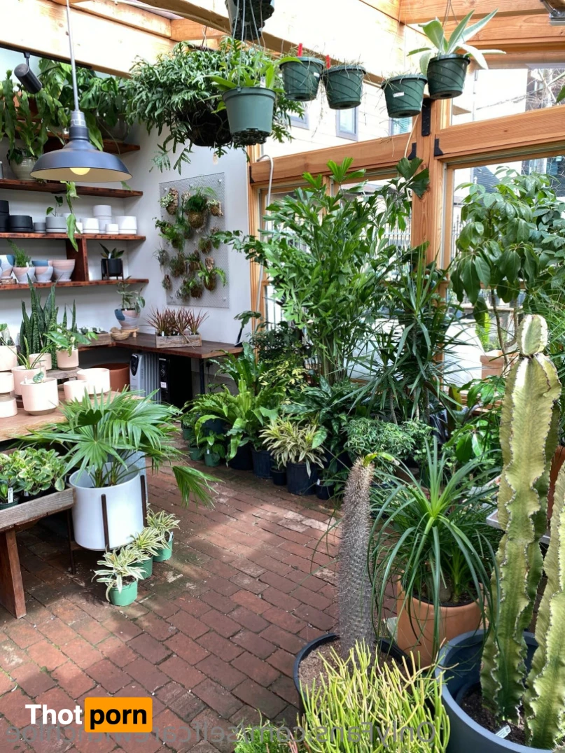 Self Care with Chloe 10841642