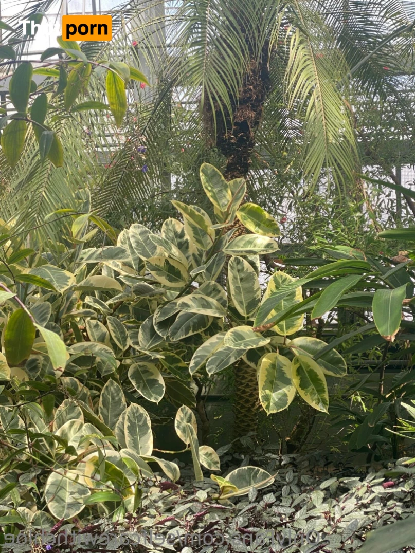 Self Care with Chloe 10841643