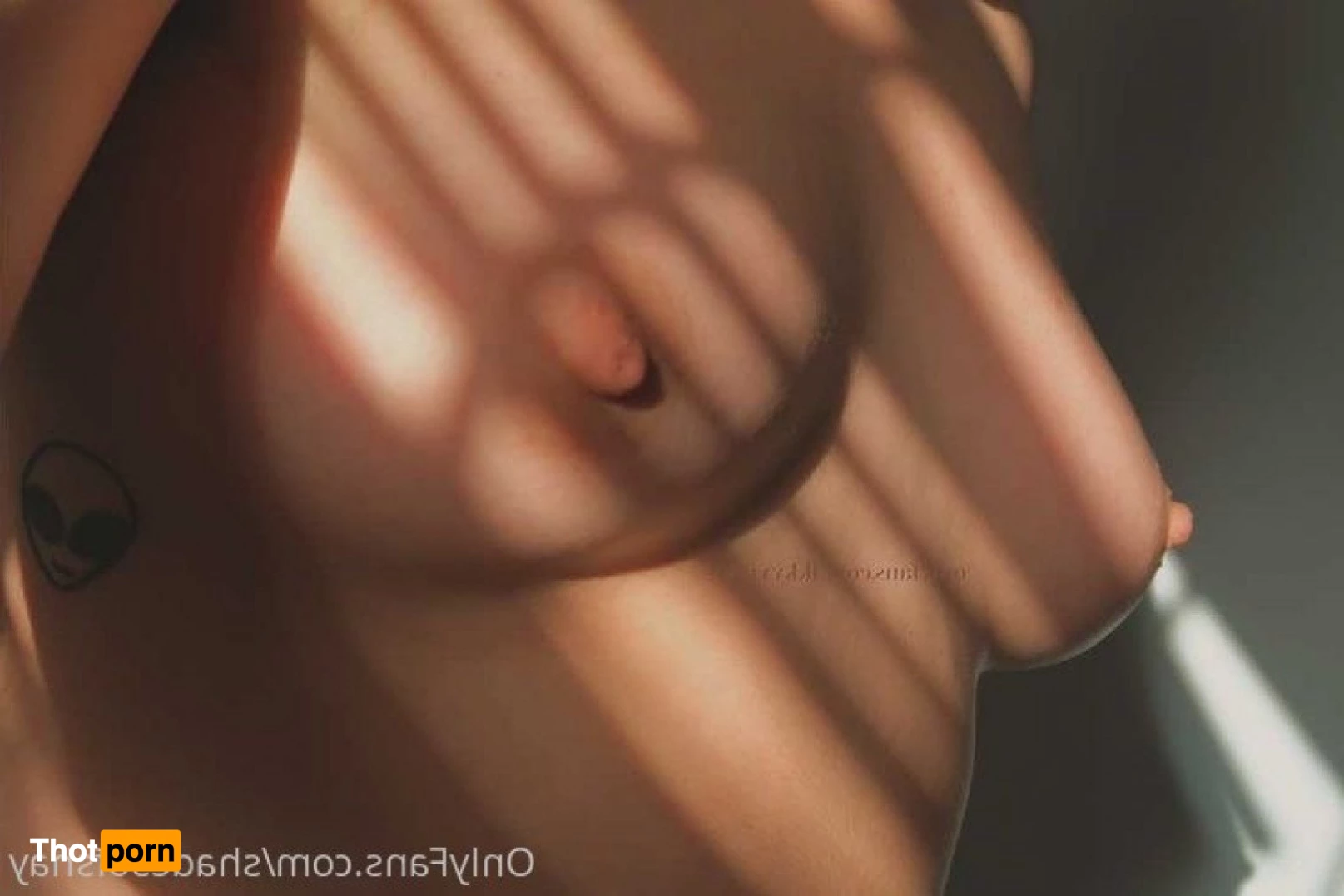 shadesofshay 4993861