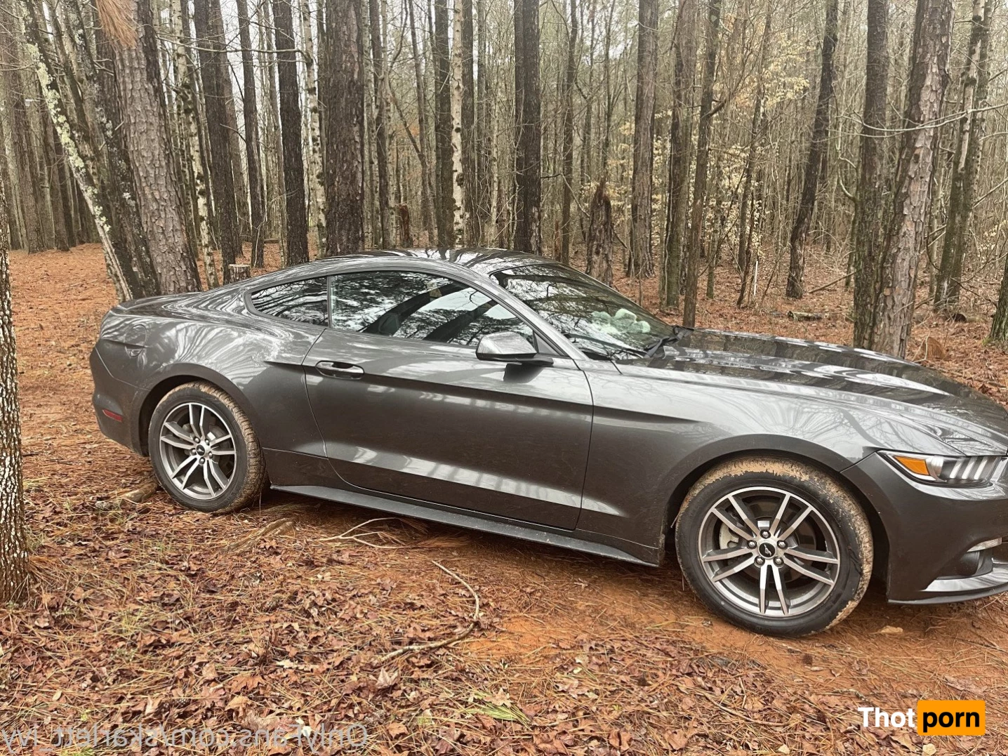 skarlett_ivy 4969974