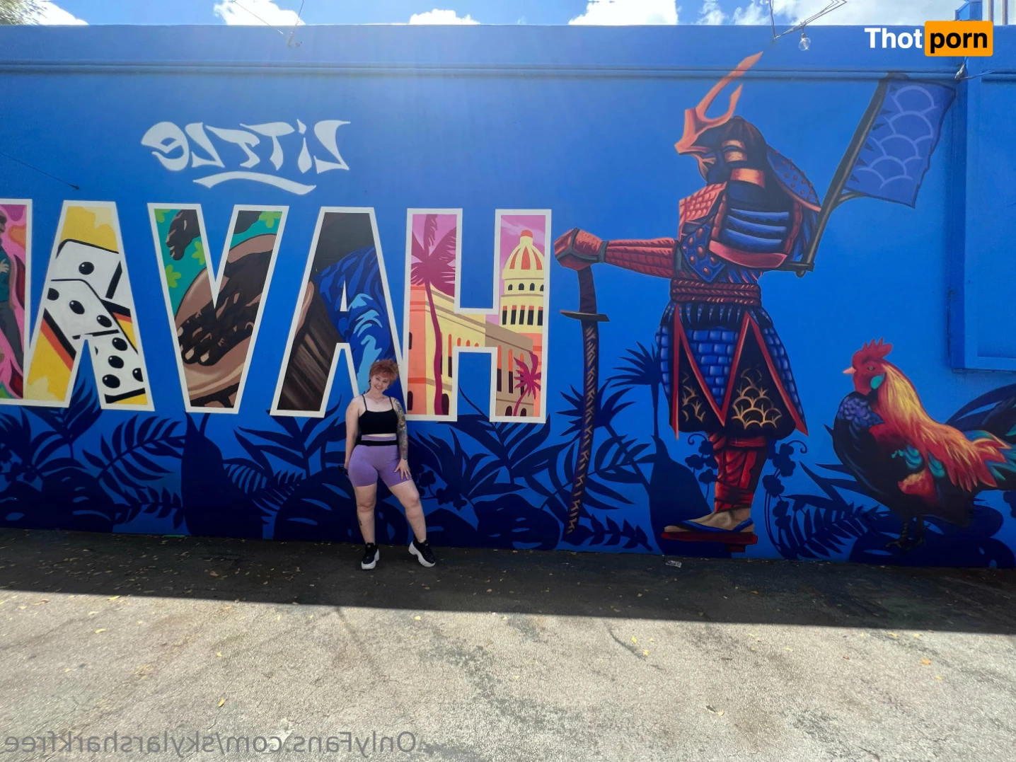 SkylarSharkFREE 15584173