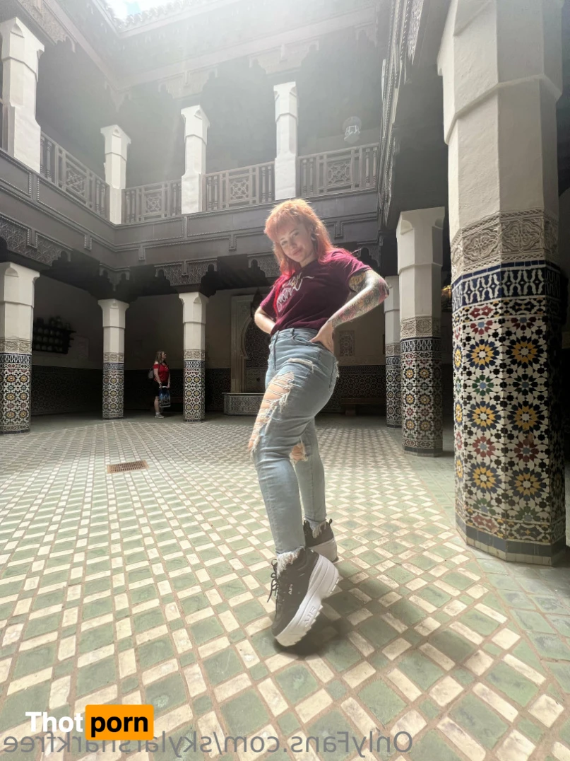 SkylarSharkFREE 15584349