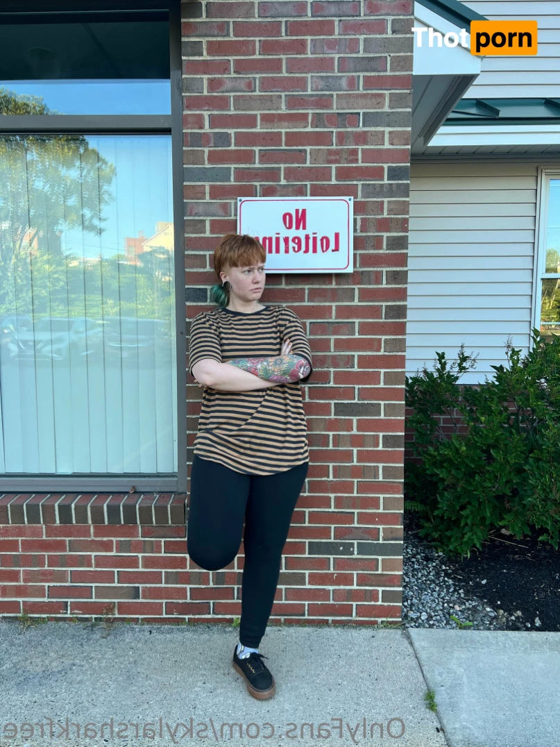 SkylarSharkFREE 15584710