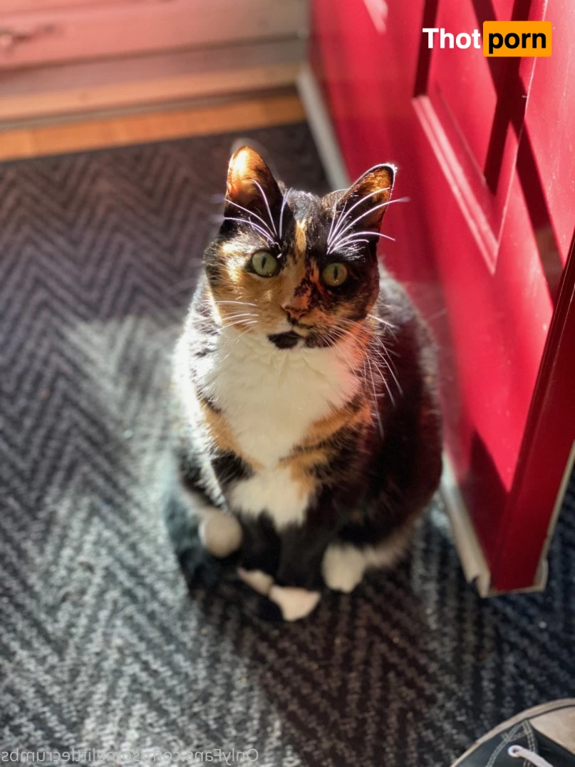 SomeLittleCrumbs 5024423