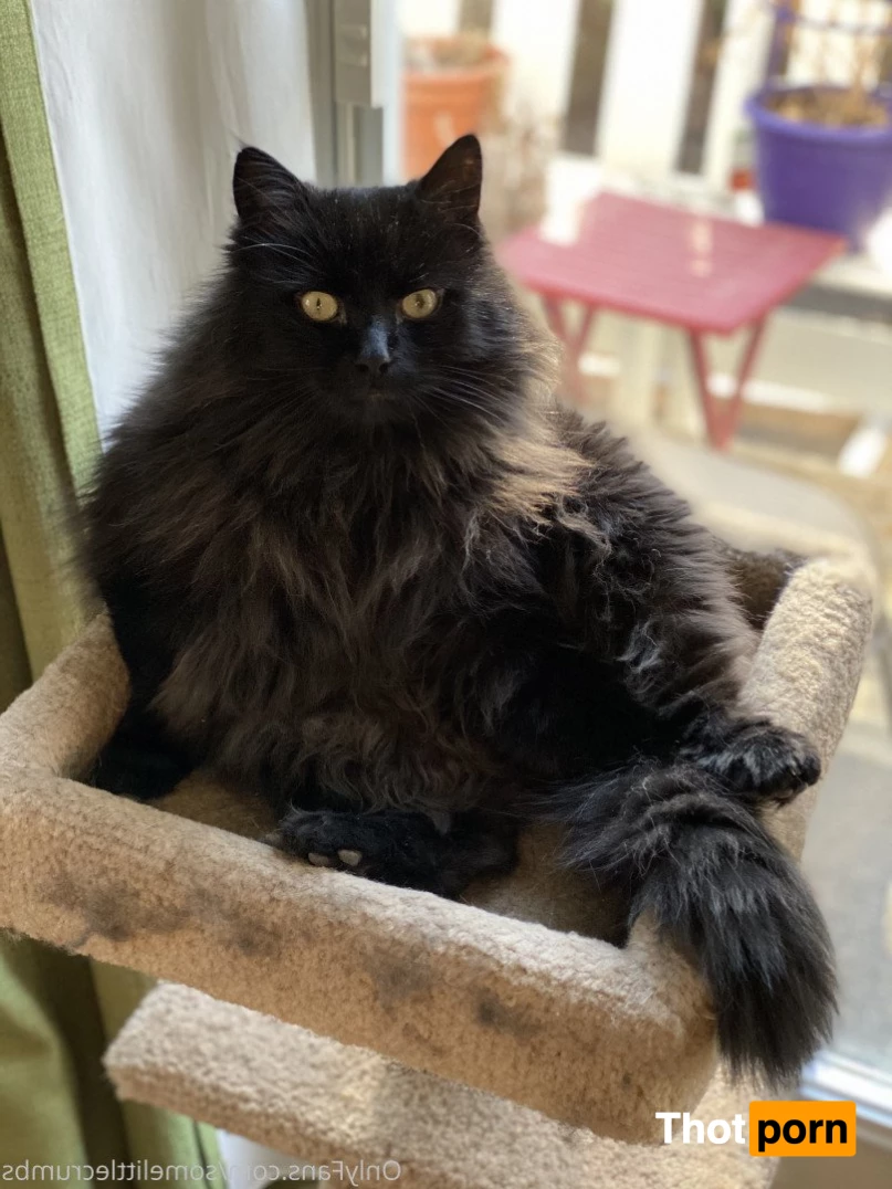 SomeLittleCrumbs 5024702