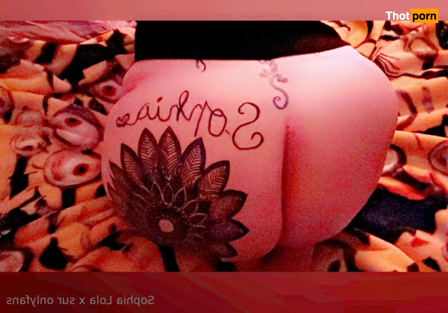 Sophia Lola X🦎 11261651