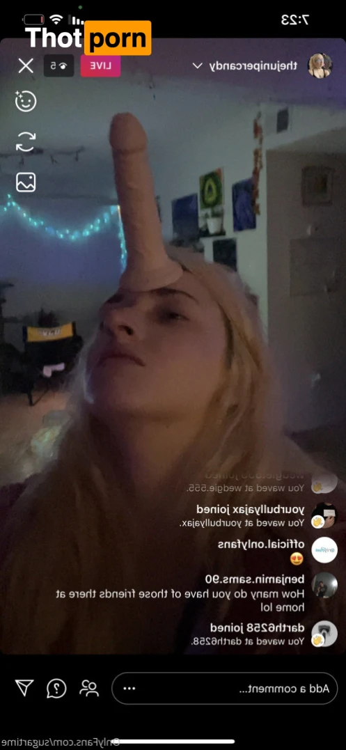 JuniperCandy 15372752