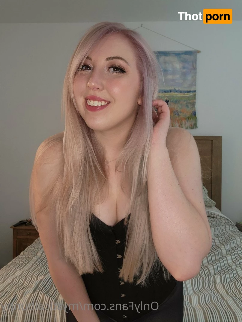 Sweet Astera 4971653