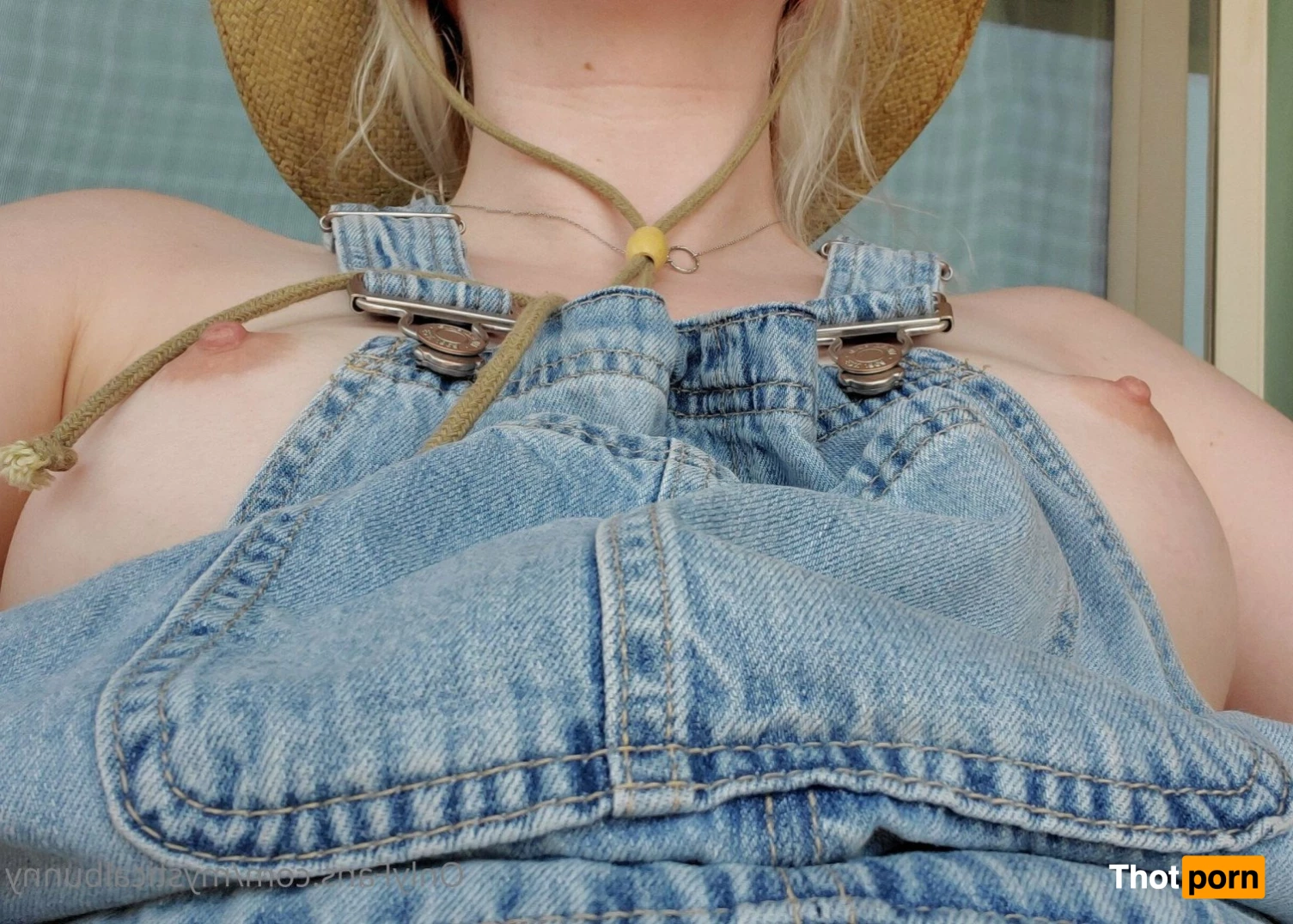 Sweet Astera 4971933