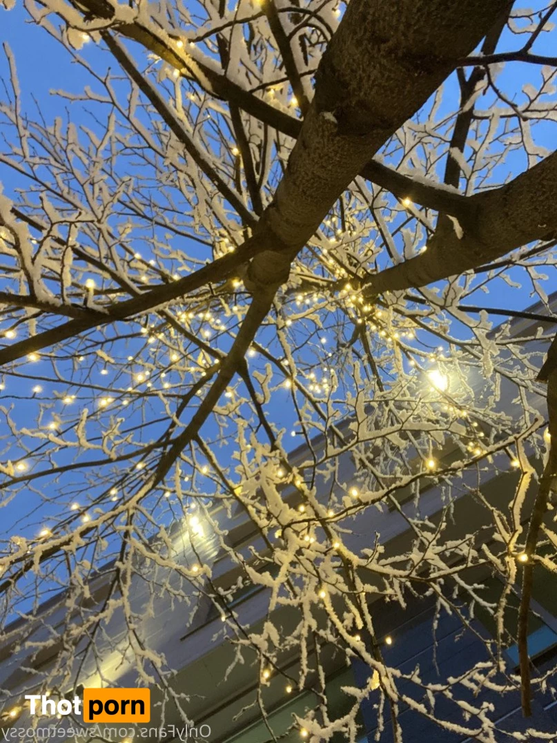 Mossy Barmales 4966647