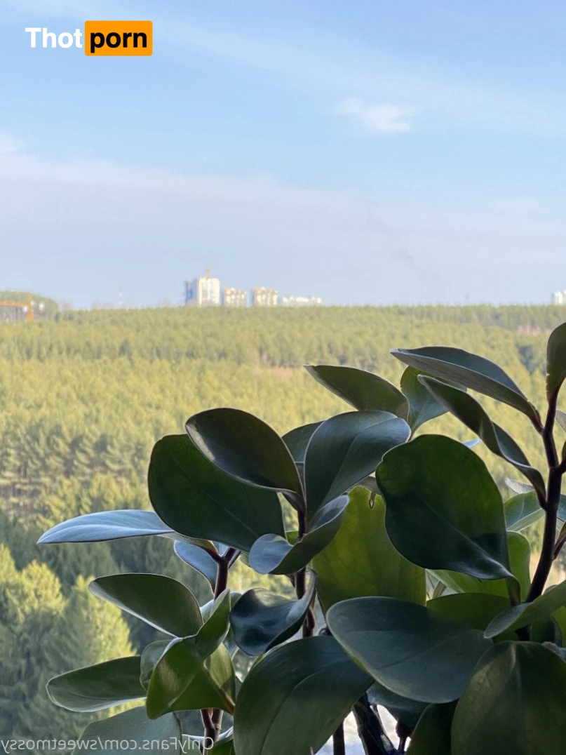 Mossy Barmales 4966699