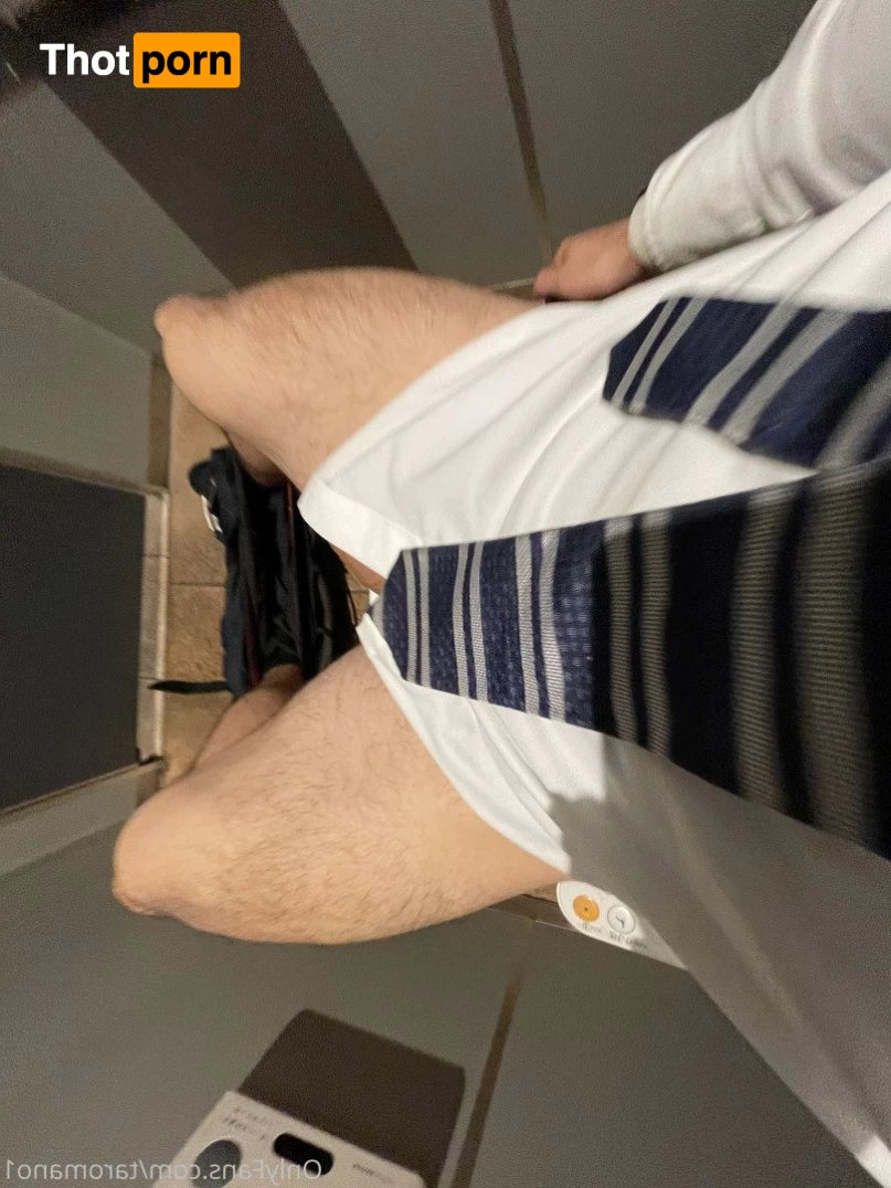 Taro Mano🐻 4949388