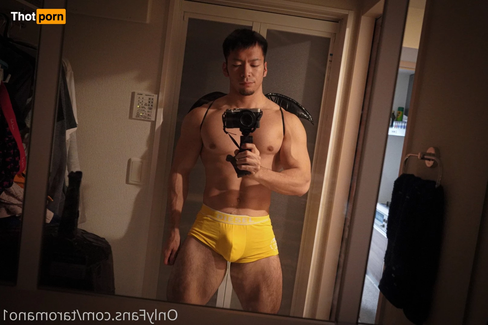 Taro Mano🐻 4949411