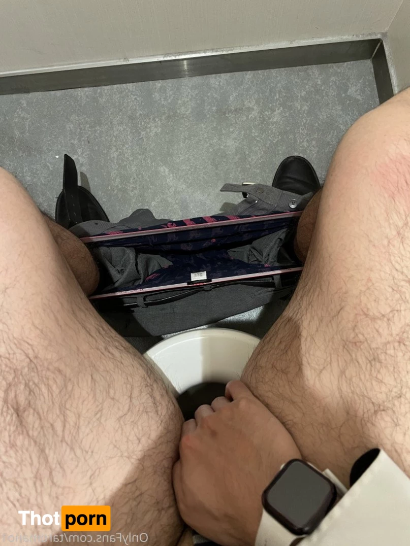 Taro Mano🐻 4949432