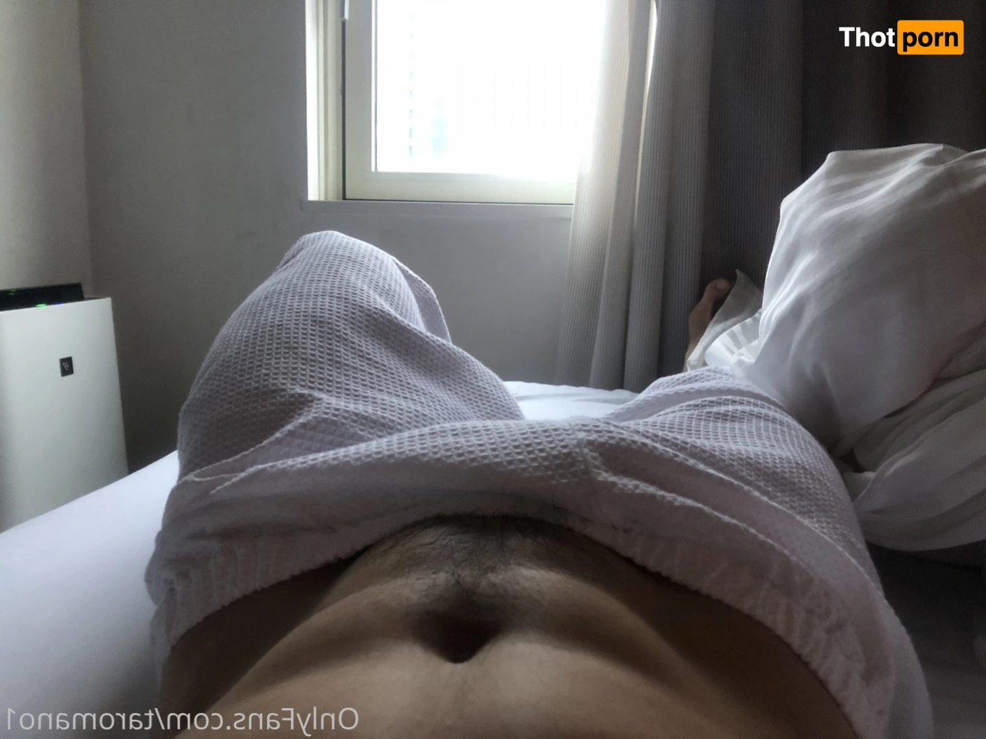 Taro Mano🐻 4949436