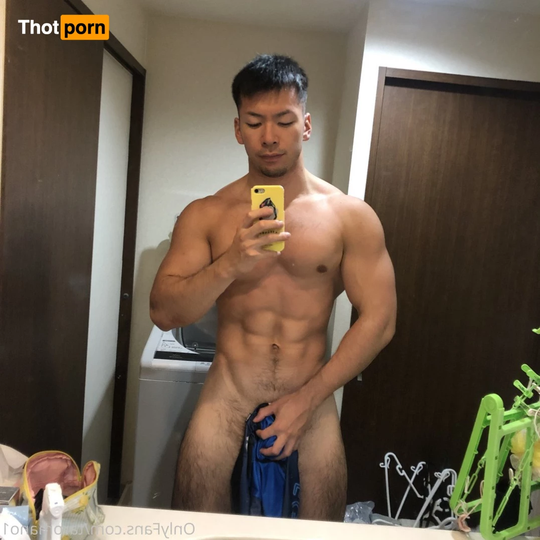 Taro Mano🐻 4949602