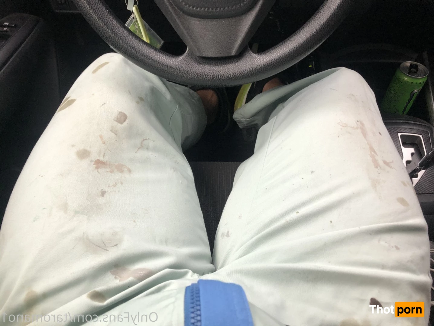 Taro Mano🐻 4949623