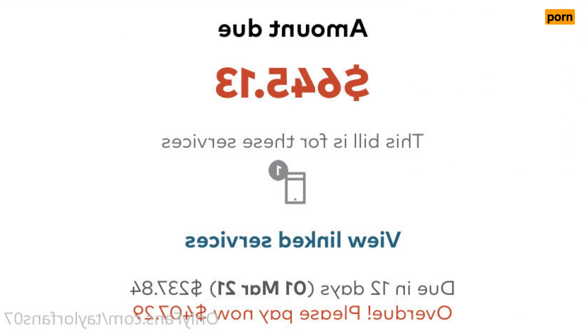 taylorfans07 4949021