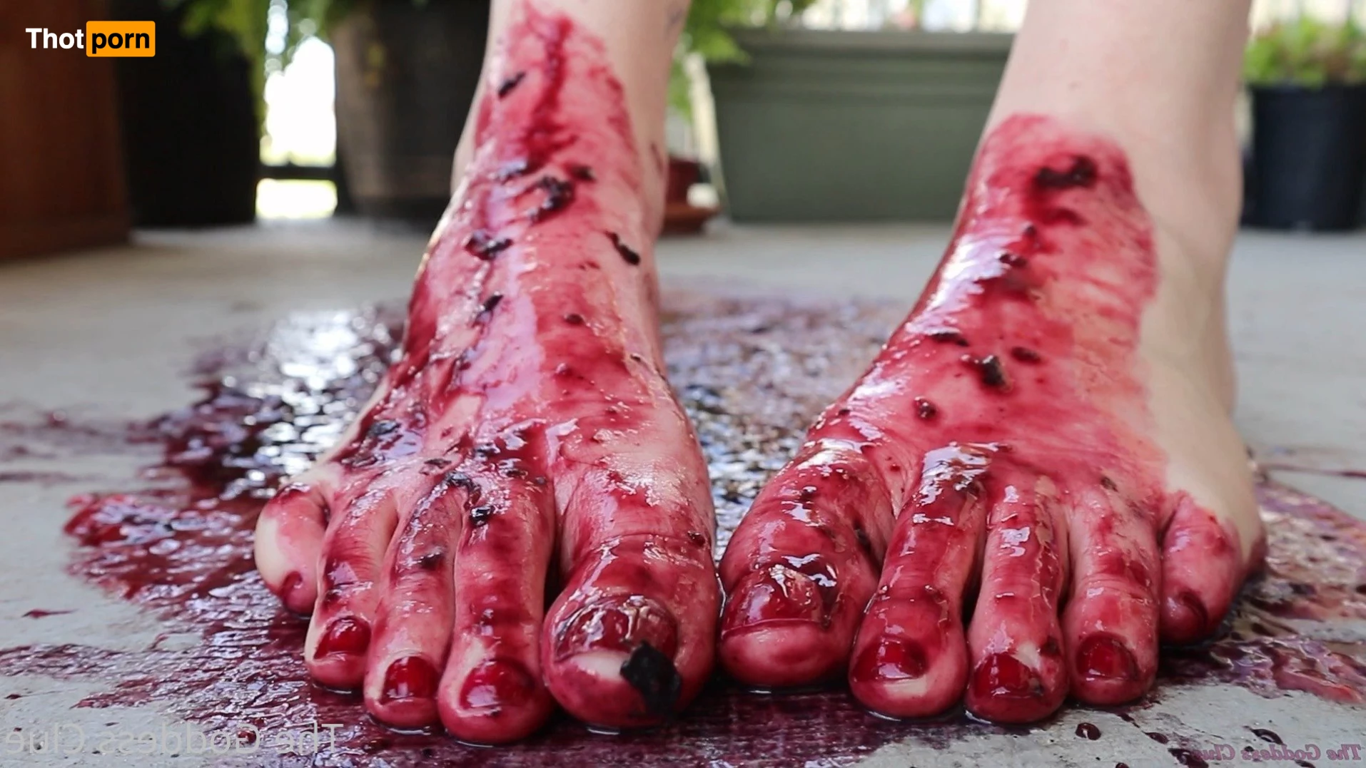 The Goddess Clue 4890188